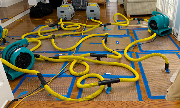 Professional Sewage Cleanup technician working in Andover, ME
